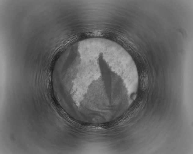 X0000113100747200909251031