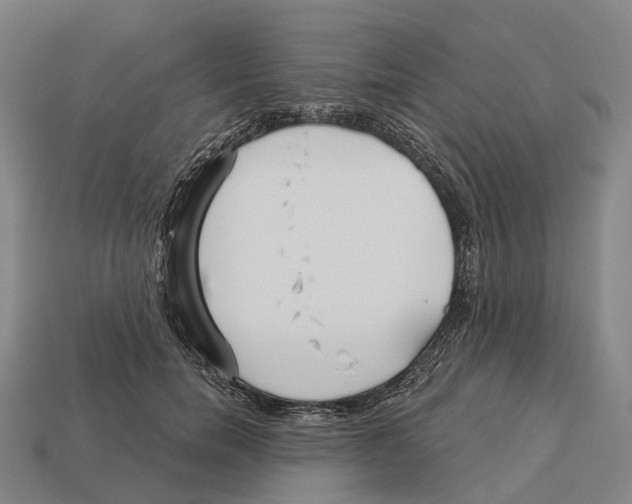 X0000113100750200909251031