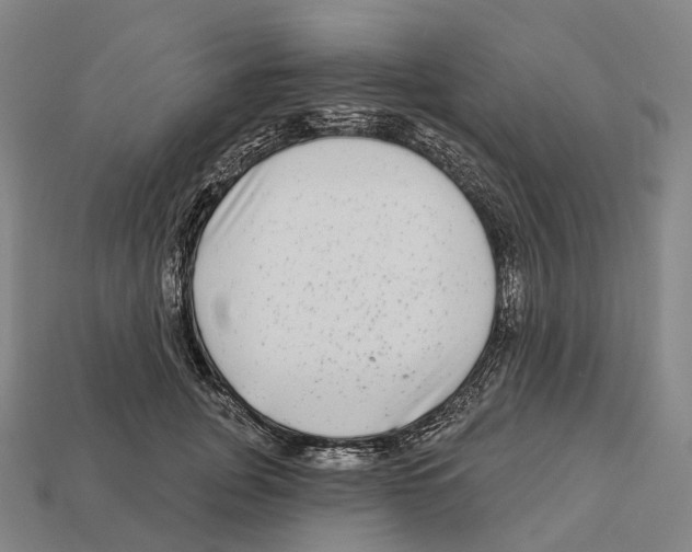 X0000113100751200909251031
