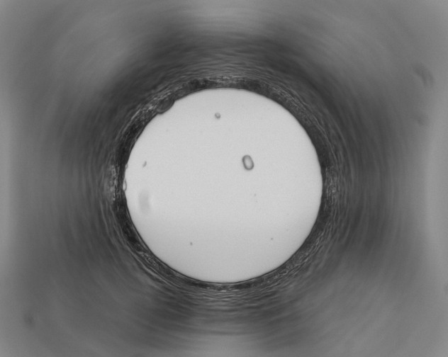 X0000113100752200909251031