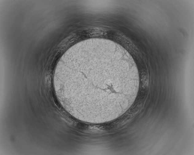 X0000113100753200909251031
