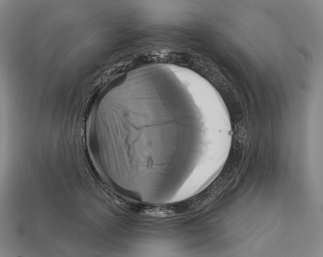 X0000113100754200909251031