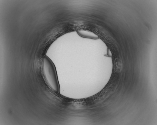 X0000113100756200909251031