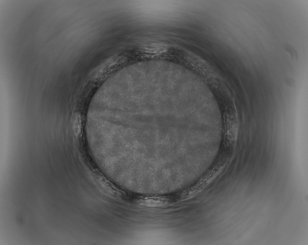 X0000113100758200909251031