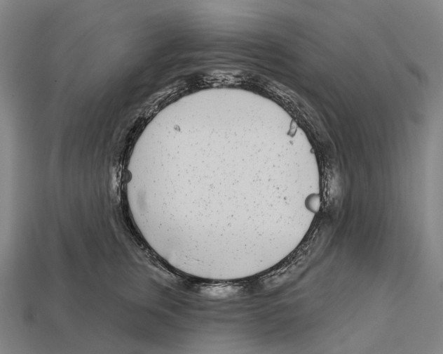 X0000113100759200909251031