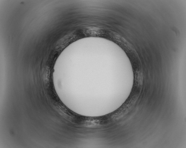 X0000113100760200909251031
