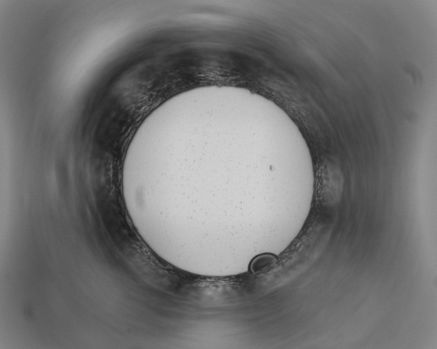 X0000113100762200909251031