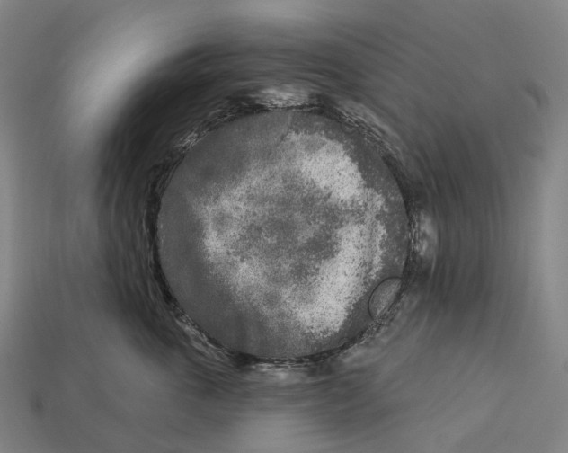 X0000113100763200909251031