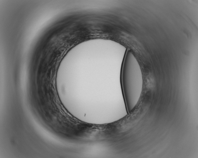 X0000113100764200909251031
