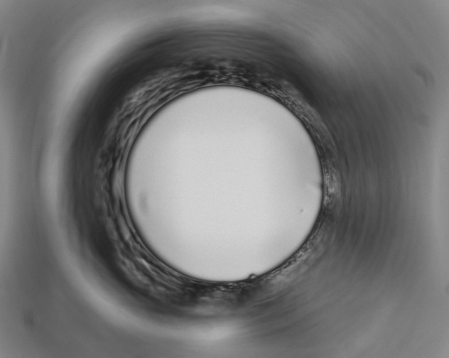 X0000113100765200909251031