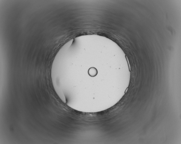 X0000113100768200909251031