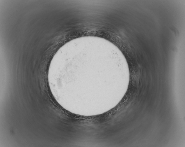 X0000113100769200909251031