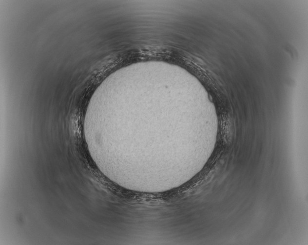 X0000113100770200909251031