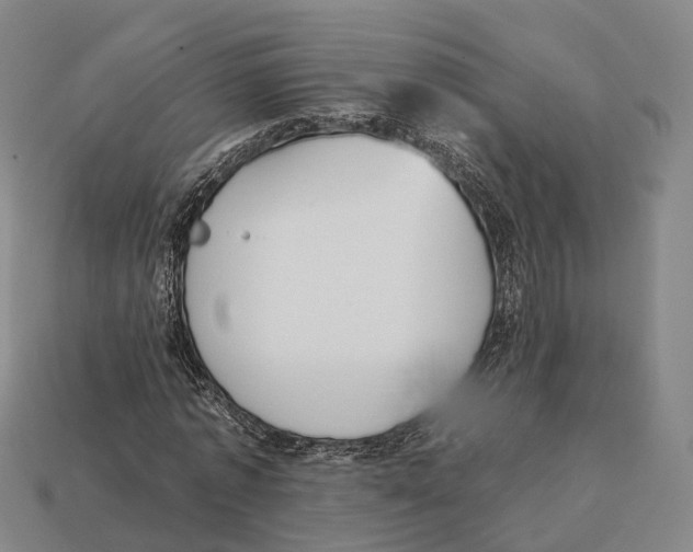 X0000113100773200909251030