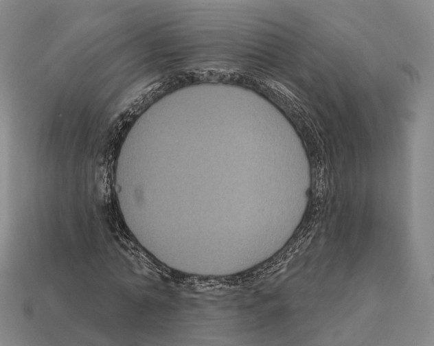 X0000113100774200909251030