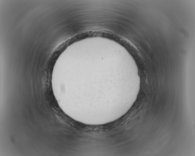 X0000113100775200909251030