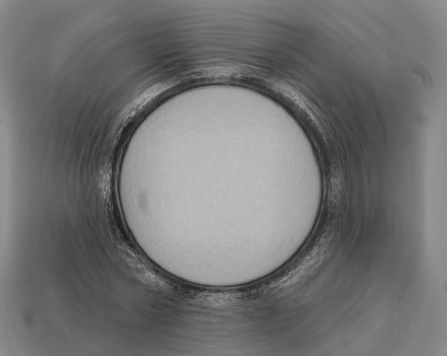 X0000113100778200909251030