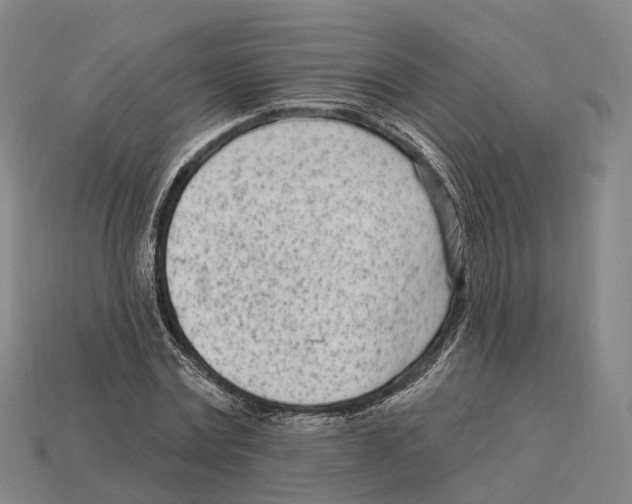 X0000113100779200909251030