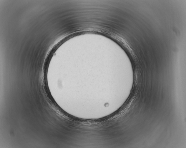 X0000113100780200909251030