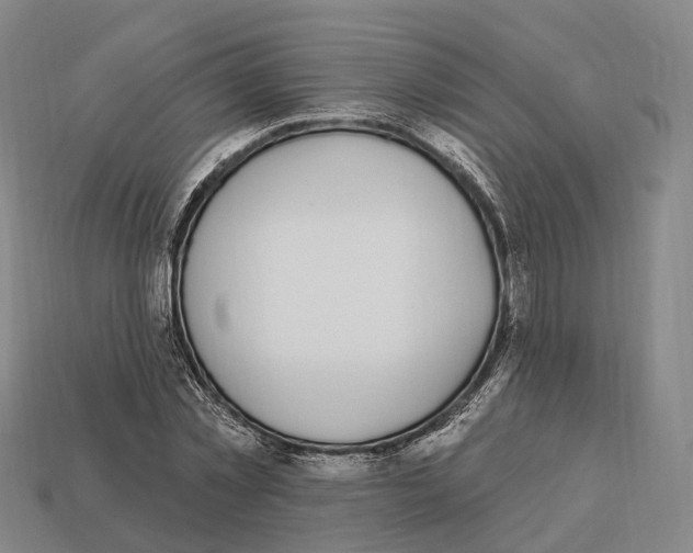 X0000113100781200909251030