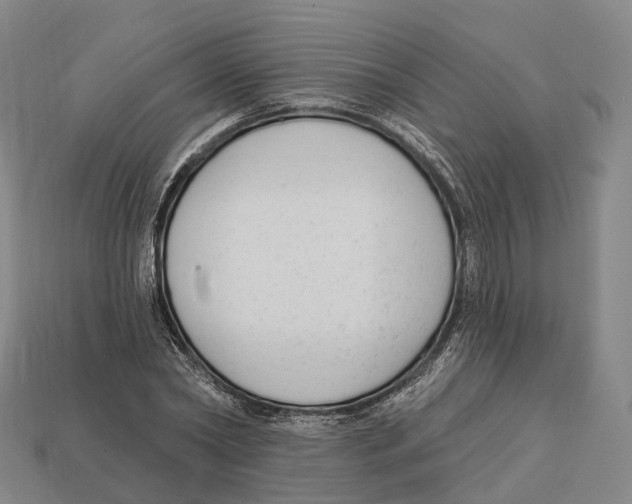 X0000113100782200909251030