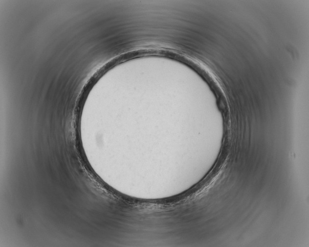 X0000113100783200909251030