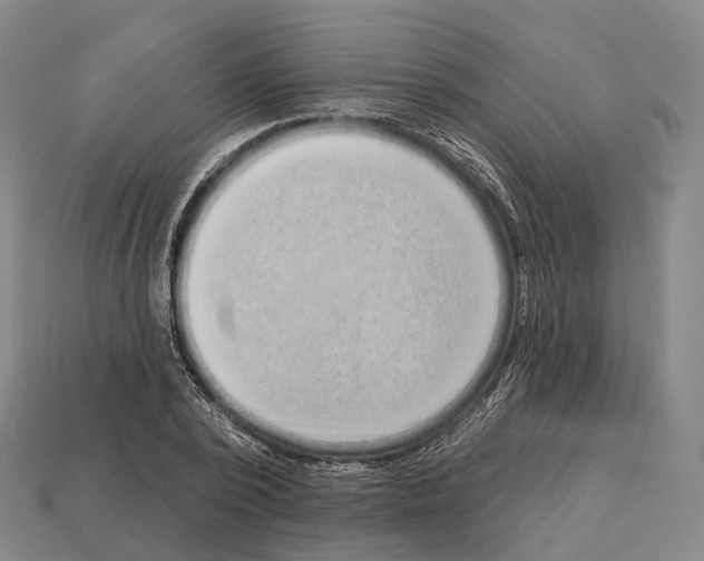 X0000113100784200909251030