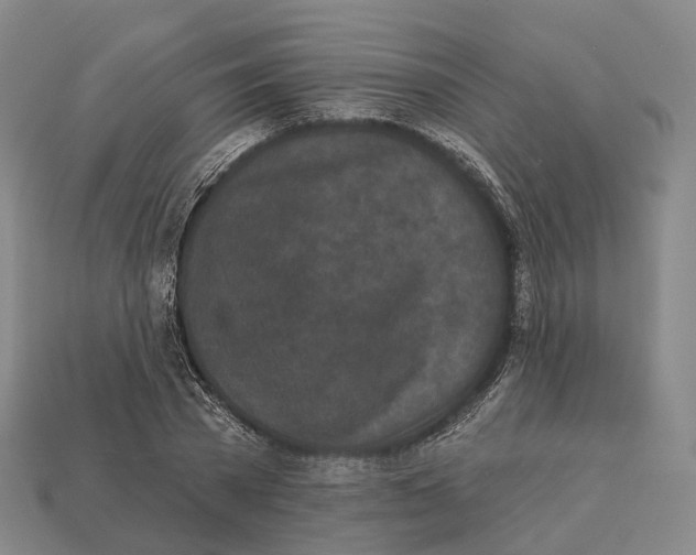 X0000113100785200909251030