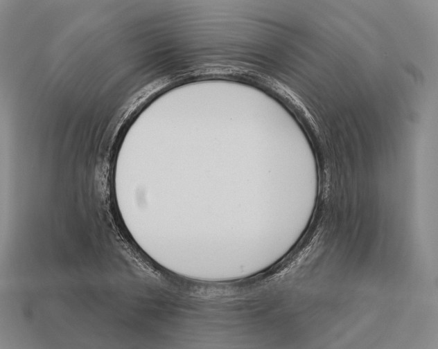 X0000113100786200909251030