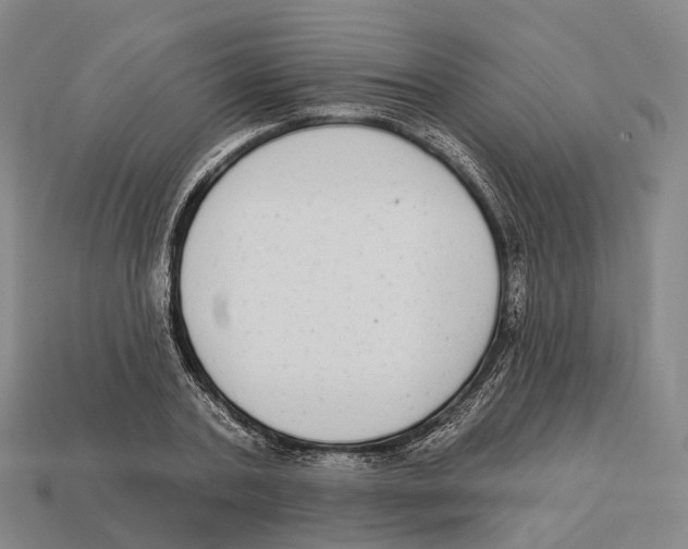 X0000113100787200909251030
