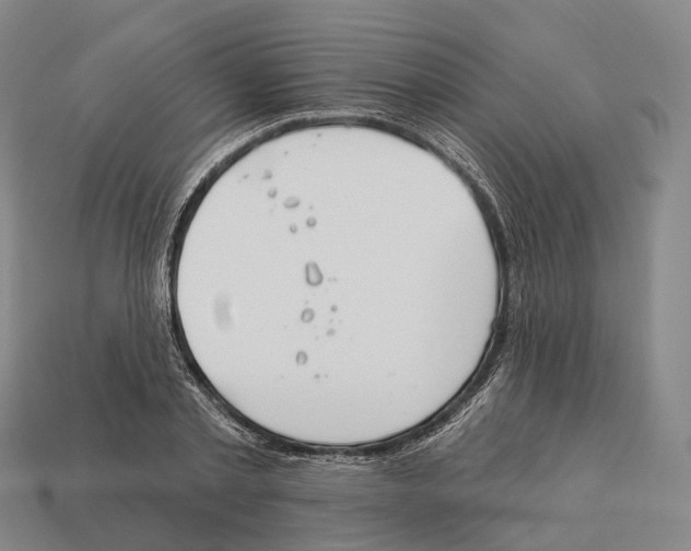 X0000113100789200909251030