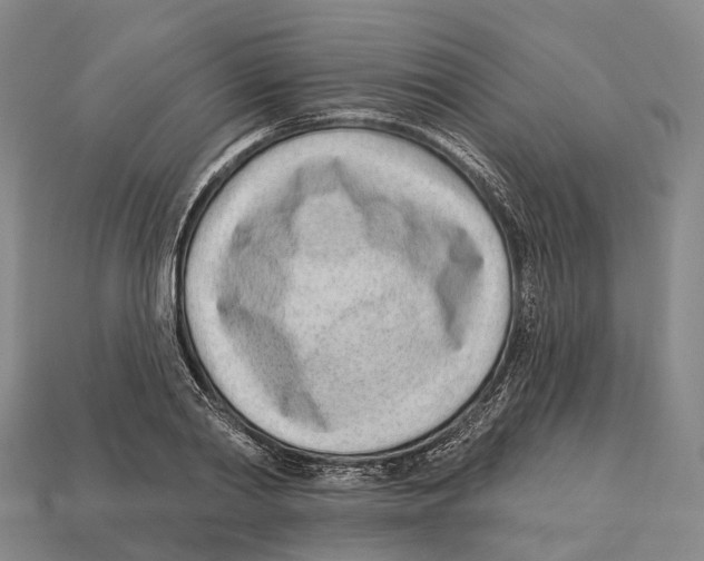 X0000113100790200909251030