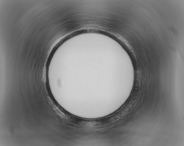 X0000113100791200909251030