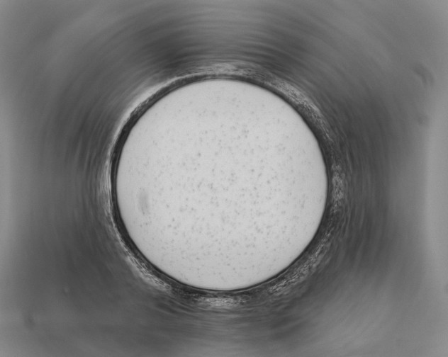 X0000113100792200909251030
