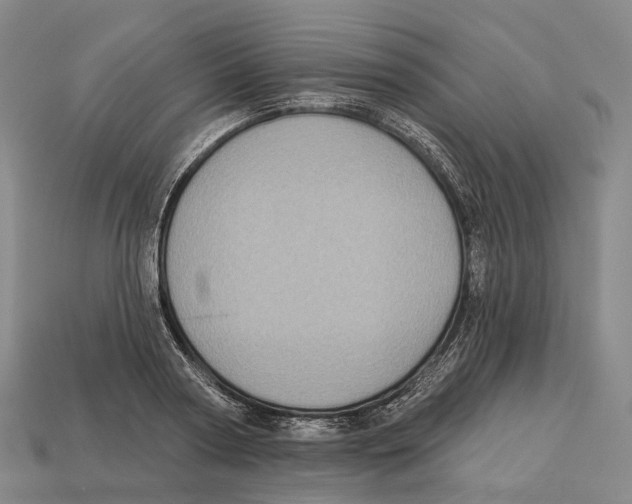 X0000113100794200909251030