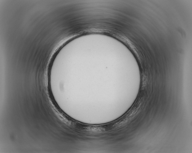 X0000113100795200909251030