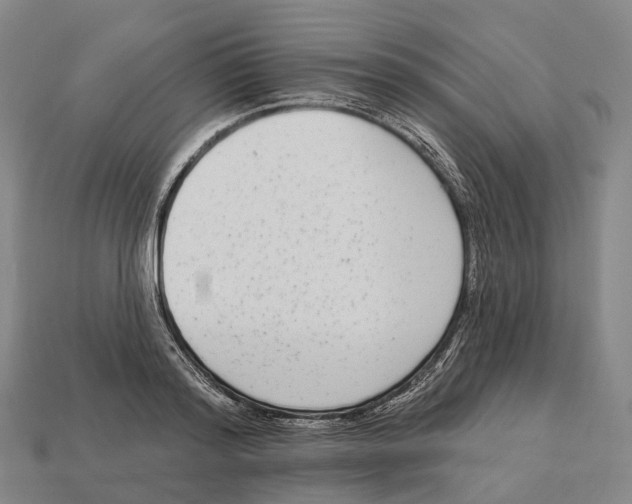 X0000113100796200909251030