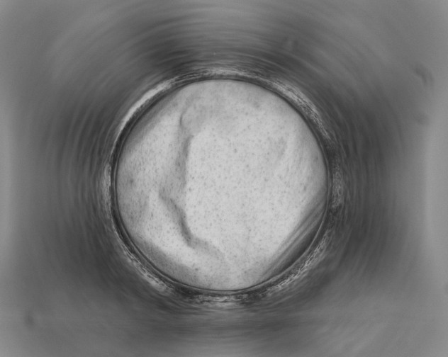 X0000113100798200909251030