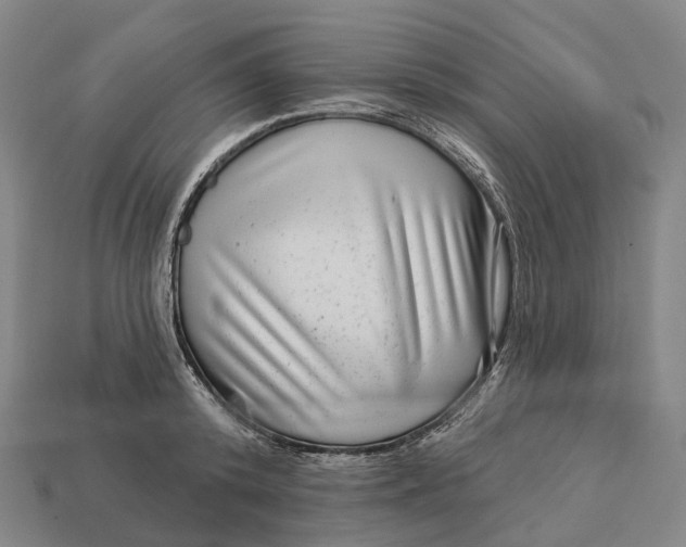 X0000113100800200909251030