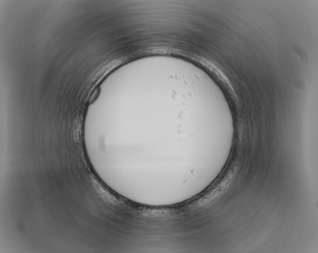X0000113100801200909251030