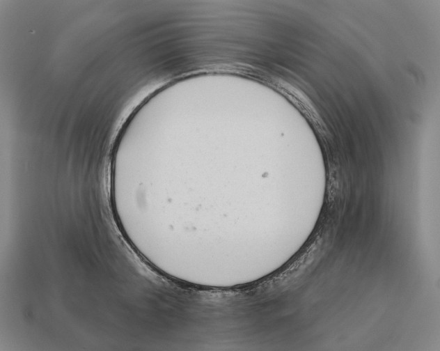 X0000113100804200909251030
