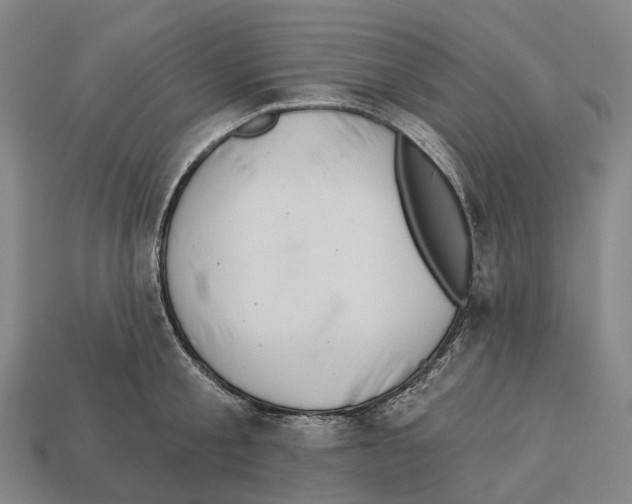 X0000113100805200909251030