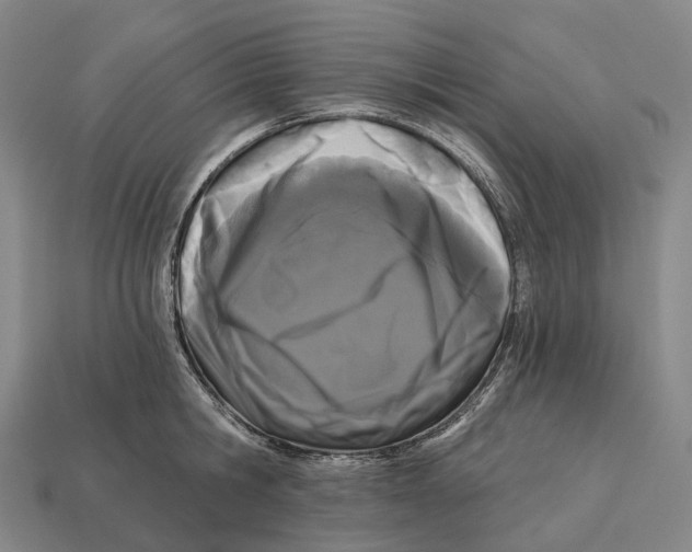 X0000113100806200909251030