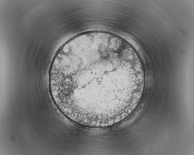 X0000113100807200909251030