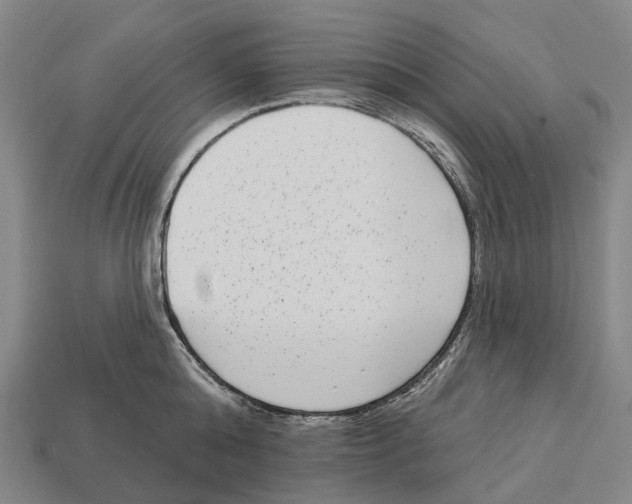 X0000113100808200909251030