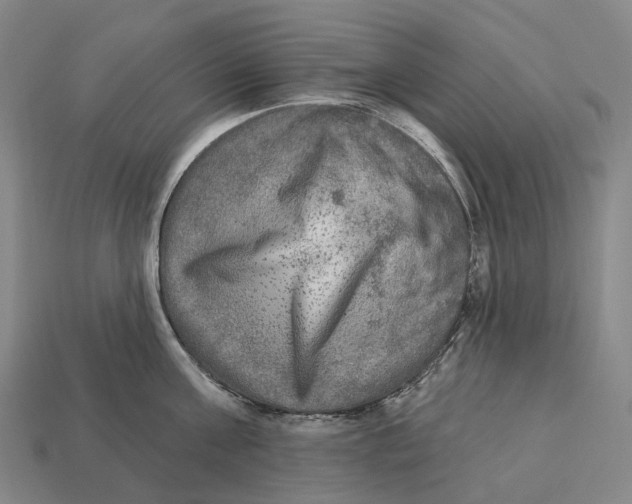 X0000113100811200909251030