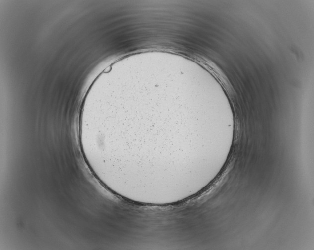 X0000113100812200909251030