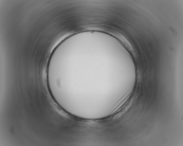 X0000113100814200909251030