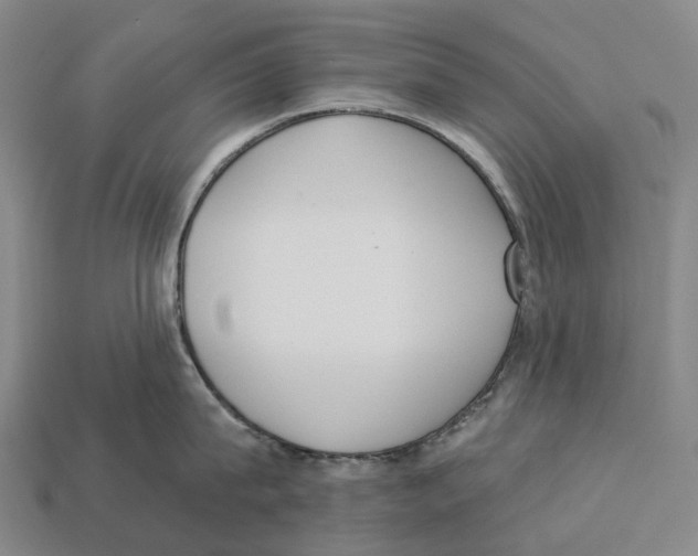 X0000113100815200909251030