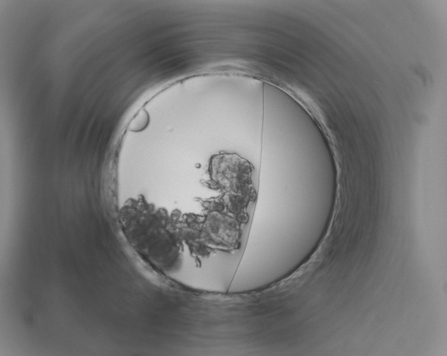 X0000113100816200909251030